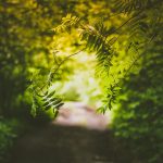 baguio city environment reducing waste