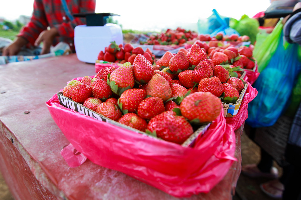 blistt tourist destinations la trinidad