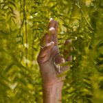 person holding green leaf plants as a symbol of sustainable living in baguio city