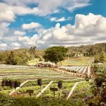 investing in land, real estate