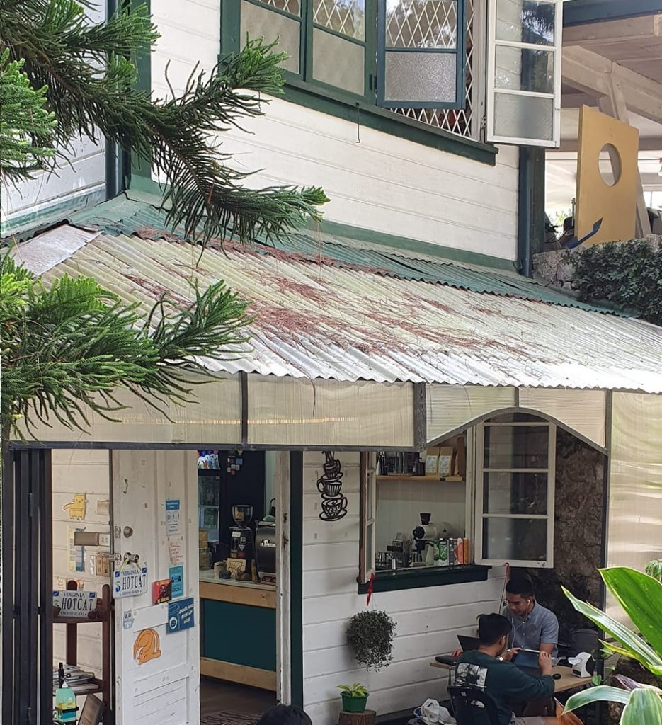 Hot Cat Specialty Coffee